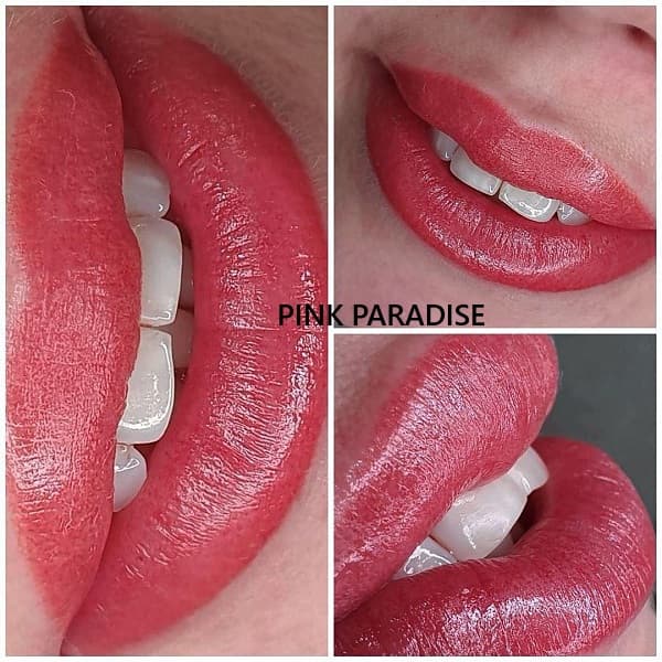 Hybrid Lip Pigments 6ml - AS Company - 12