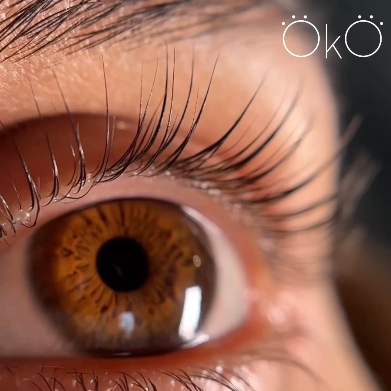 π₯ TRENDING: OKO Lifting & Eyebrow and Eyelash Lamination Kit - 4