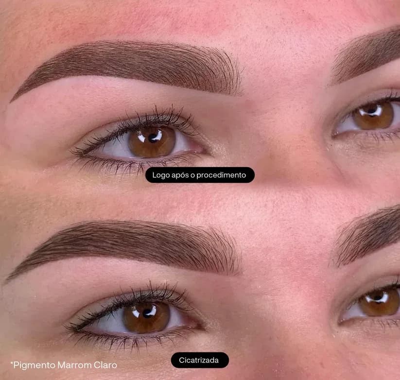 Kit 4 Pigmentos Línea Cejas Diamond - PRE-VENTA - 10