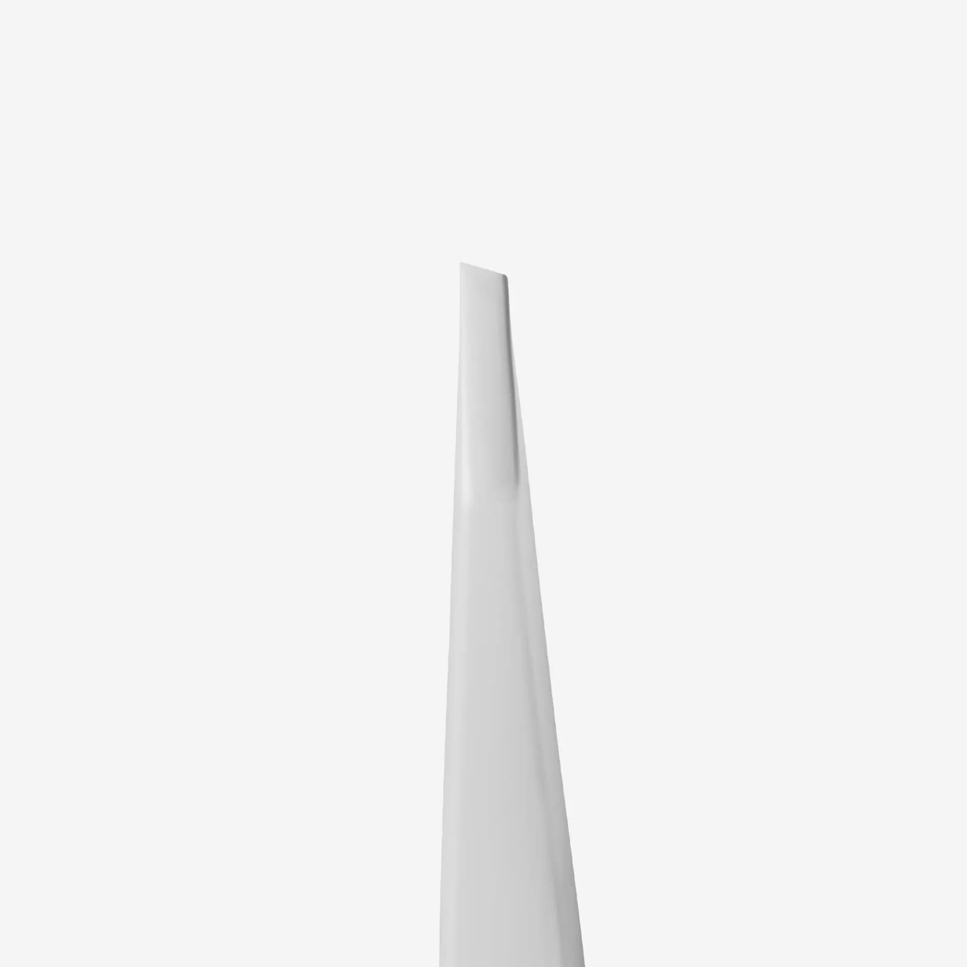 Pinza para Cejas EXPERT 10 TYPE 4 (Inclinada) - 2