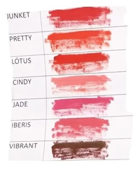 Nuance Organic Lip Pigment Kit 4 Colors + Diluent - 6