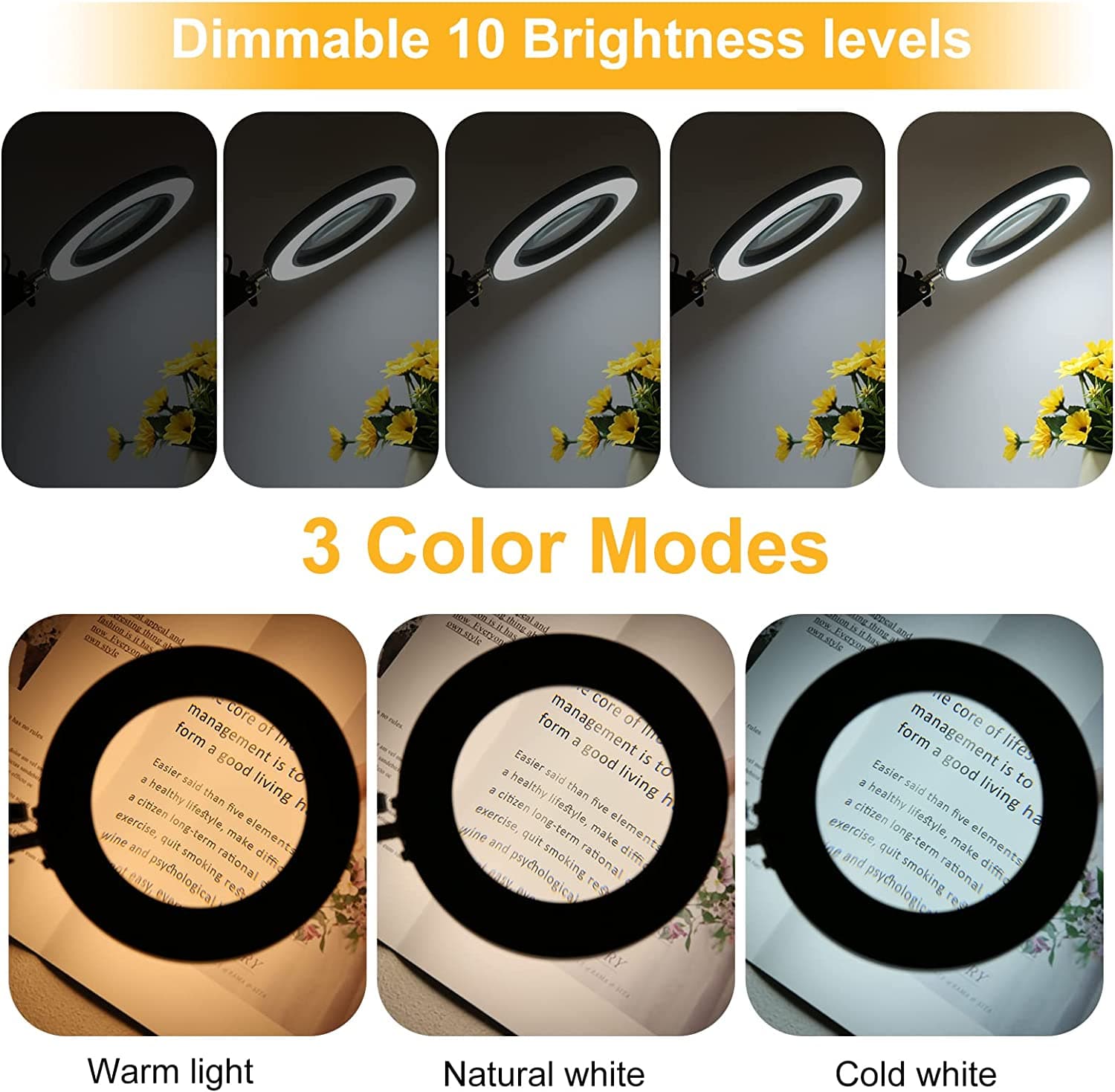 Lupa Led 8 Dioptrías Articulada de Mesa - 4